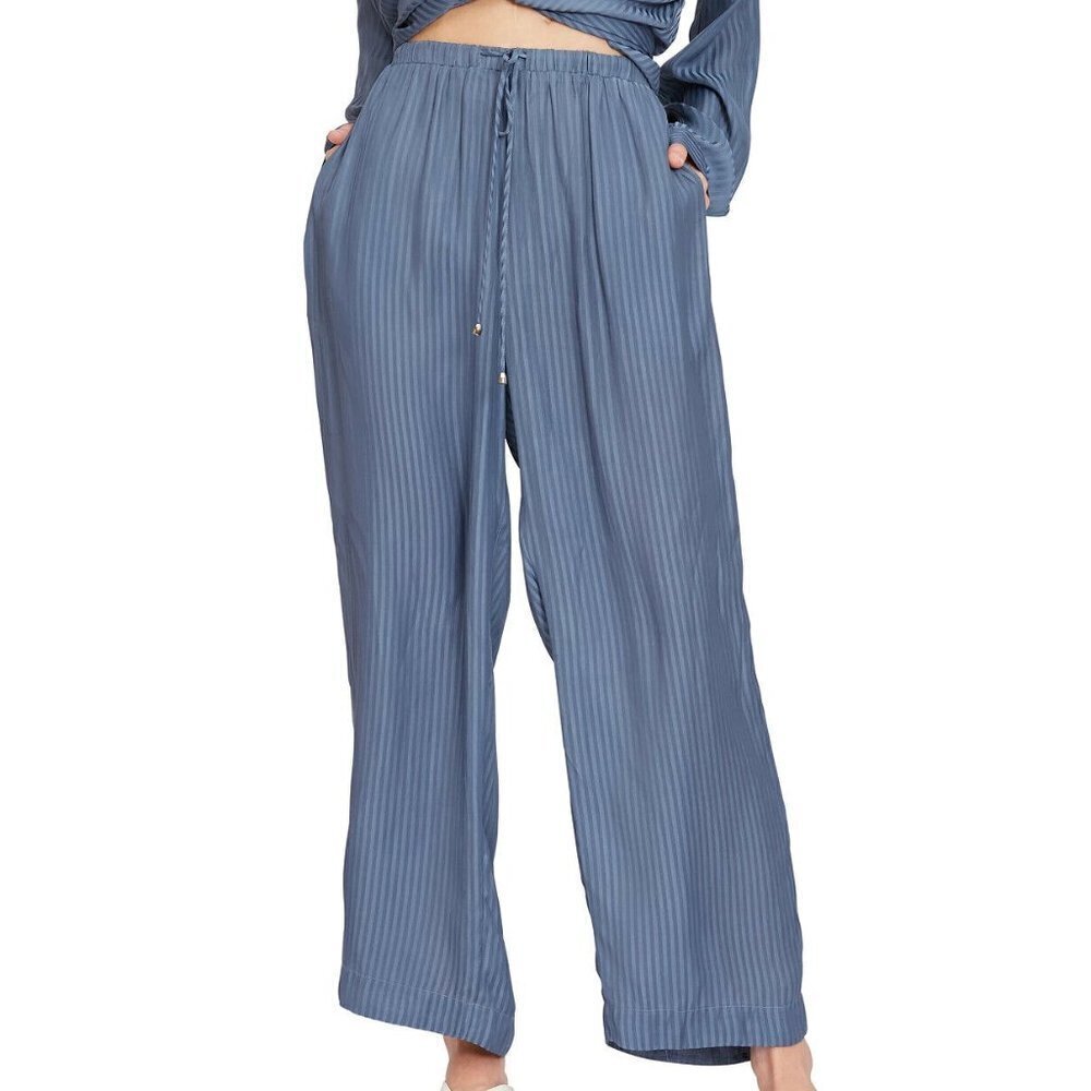 𝅺JR196 Lucy Paris Blue Velvet Crush Tenley Striped Pants Size XL